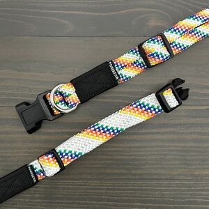 Wilderdog Rainbow Collar; Large; NWT; New with tag